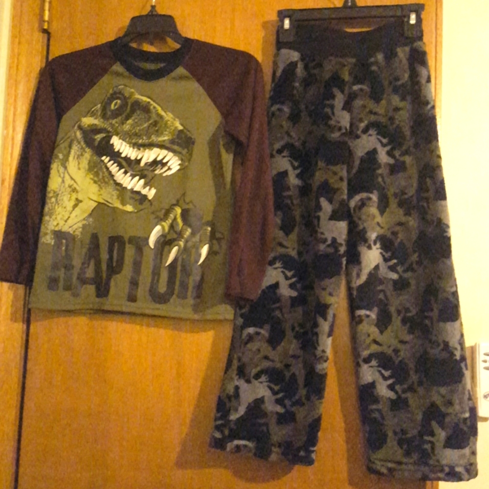 Raptor Dinosaur Pajamas